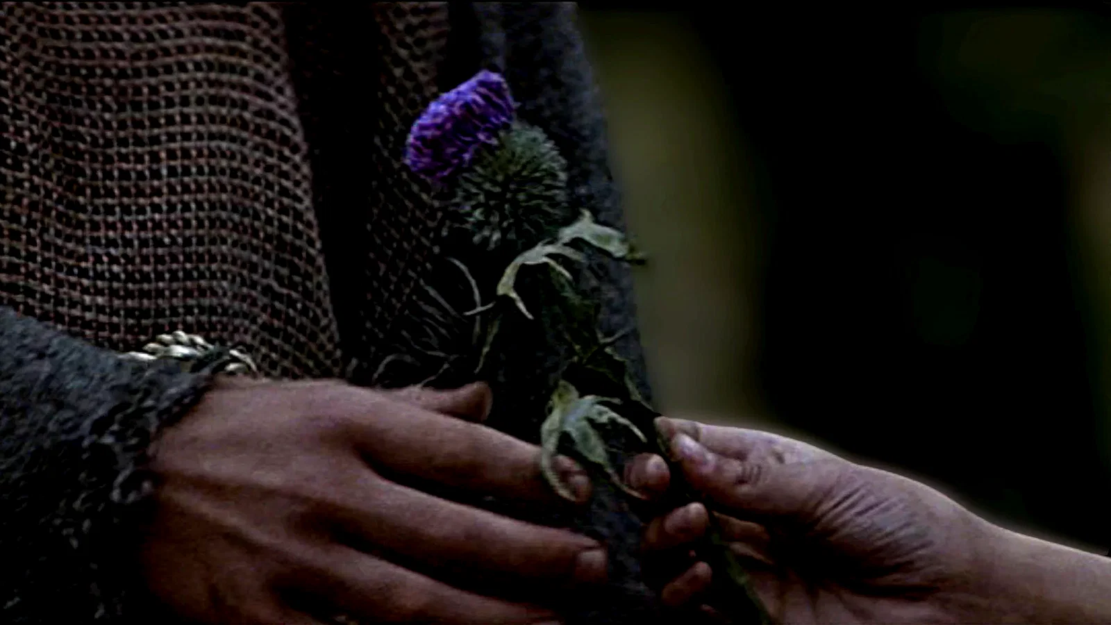 Photo 24 du film : Braveheart