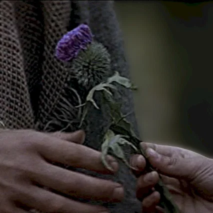 Miniature photo du film : Braveheart