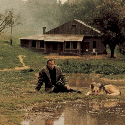 Miniature photo du film : Nostalghia
