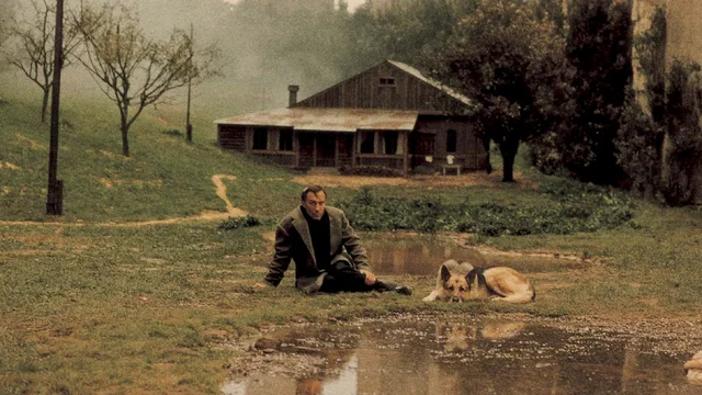 Photo du film : Nostalghia