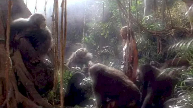 Photo 3 du film : Greystoke la legende de tarzan