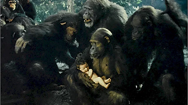 Photo 4 du film : Greystoke la legende de tarzan