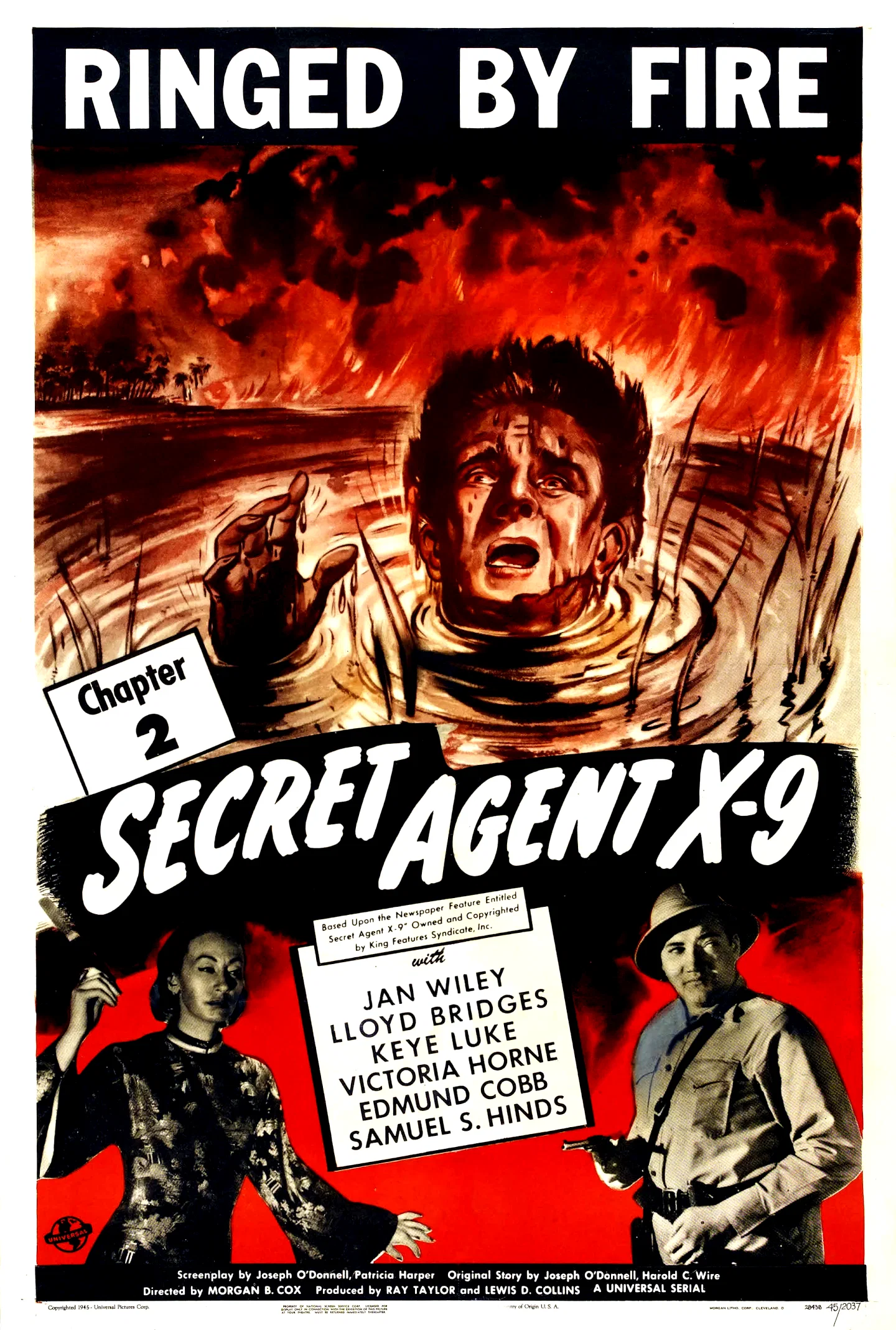 Affiche du film : Agent secret