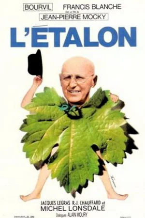 Affiche du film : L'étalon