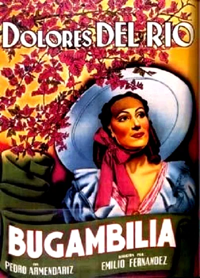 Affiche du film : Bugambilia