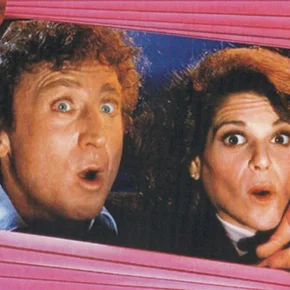 Photo du film : La folie aux trousses