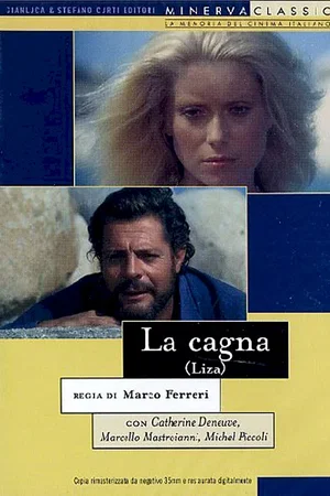 Affiche du film : Liza