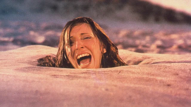 Photo du film : Creepshow