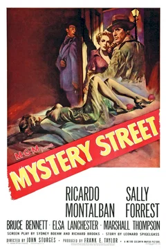 Affiche du film Le mystere de la plage perdue