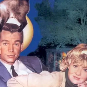 Photo du film : L'espion aux pattes de velours