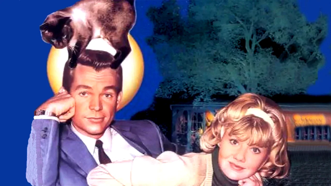 Photo 3 du film : L'espion aux pattes de velours