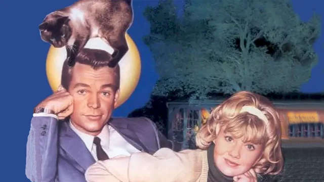 Photo 3 du film : L'espion aux pattes de velours