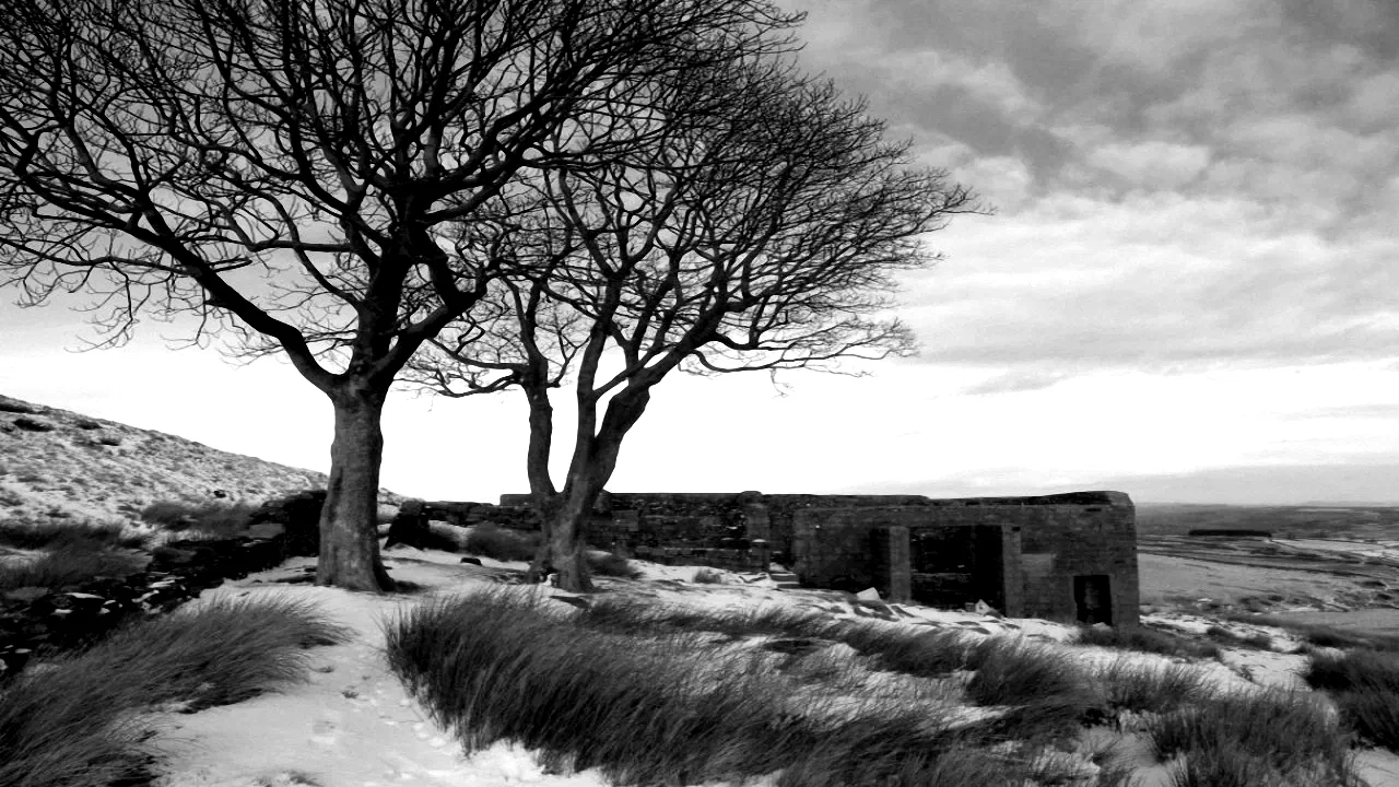 Photo 2 du film : Les hauts de Hurlevent