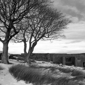Photo du film : Les hauts de Hurlevent