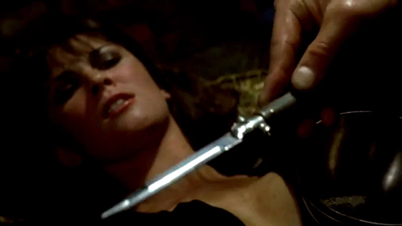 Photo 4 du film : Dracula 73