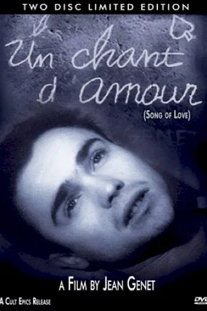 Affiche du film : Chant d'amour