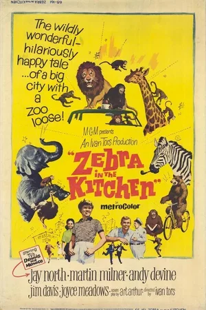 Affiche du film : Kitchen