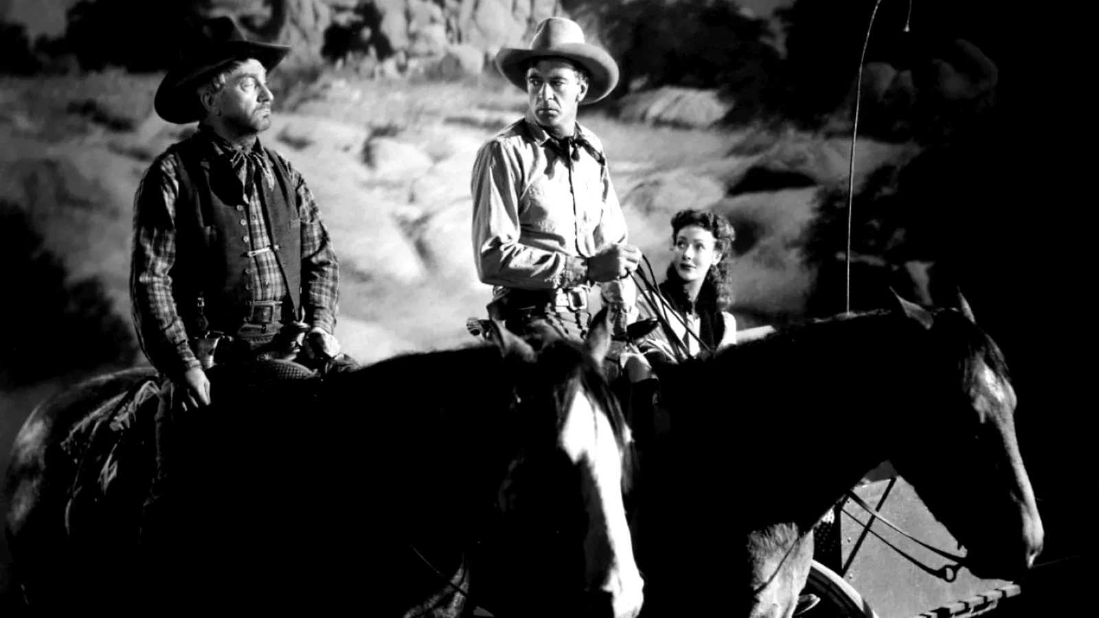 Photo 3 du film : Le grand bill