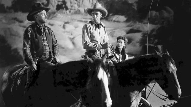 Photo 3 du film : Le grand bill
