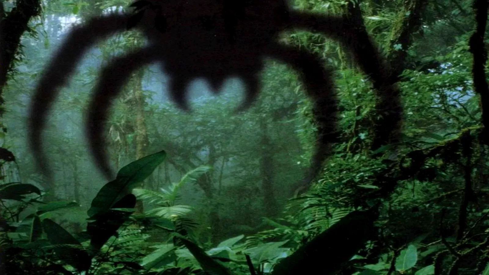 Photo 2 du film : Arachnid
