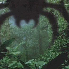 Photo du film : Arachnid