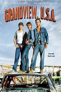 Affiche du film Grandview usa