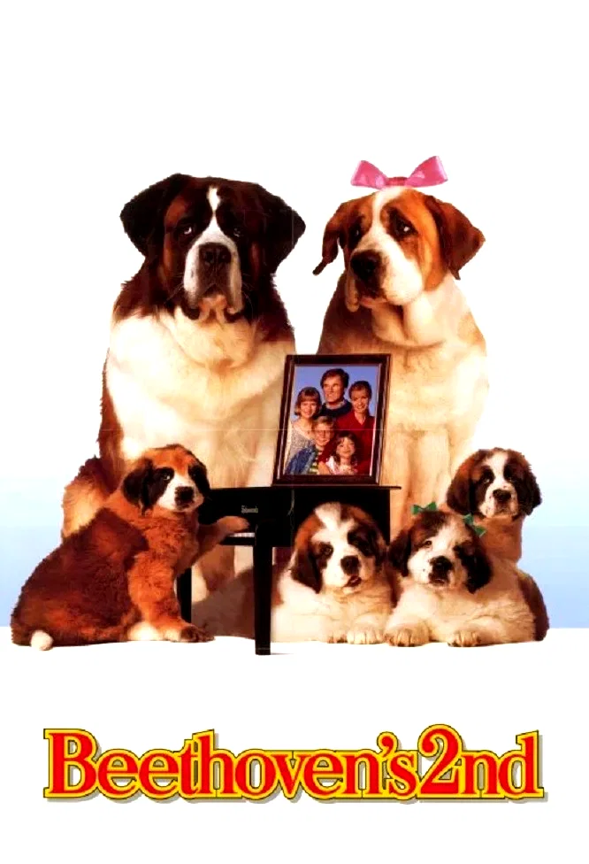 Affiche du film : André