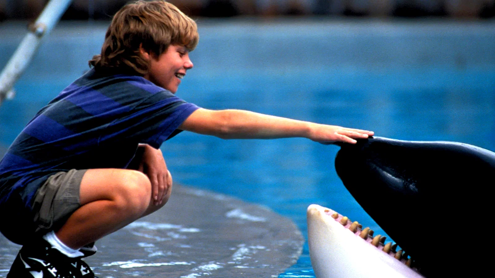 Photo 2 du film : Sauvez willy