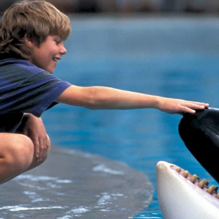 Miniature photo du film : Sauvez willy