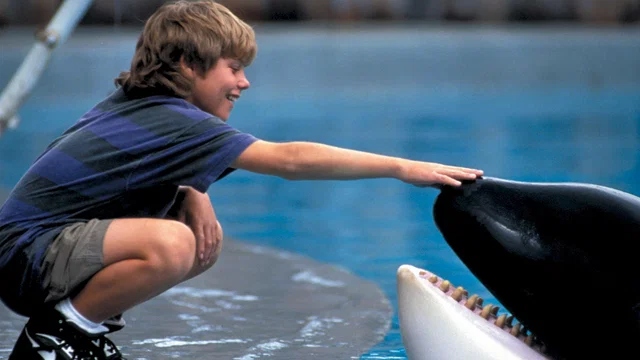 Photo du film : Sauvez willy