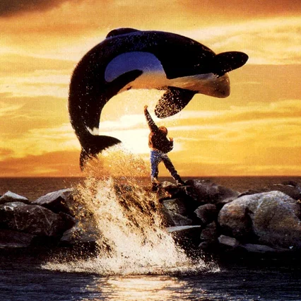 Miniature photo du film : Sauvez willy