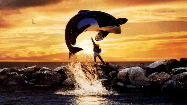 Photo du film : Sauvez willy