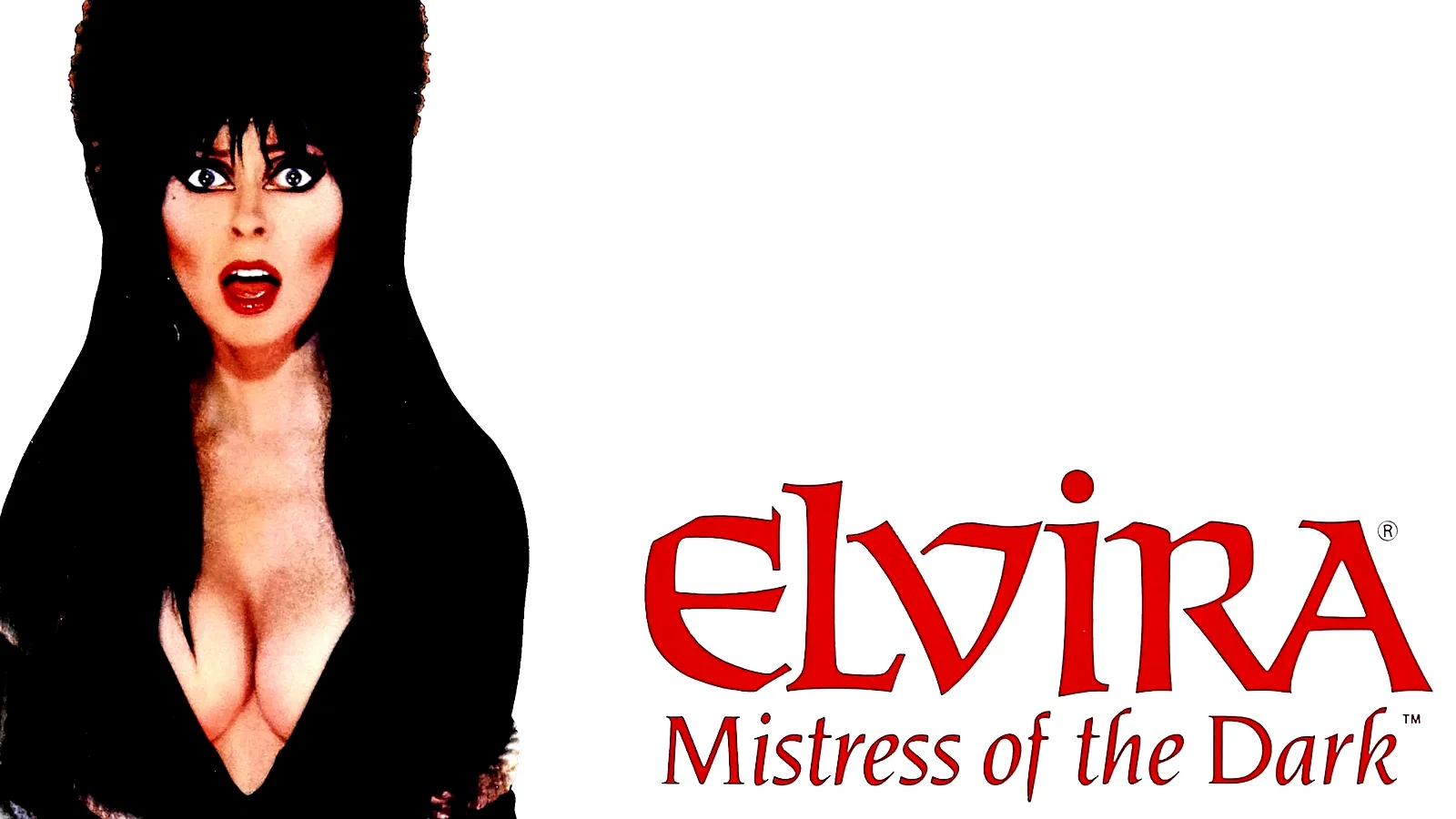 Photo du film : Elvira maitresse des tenebres