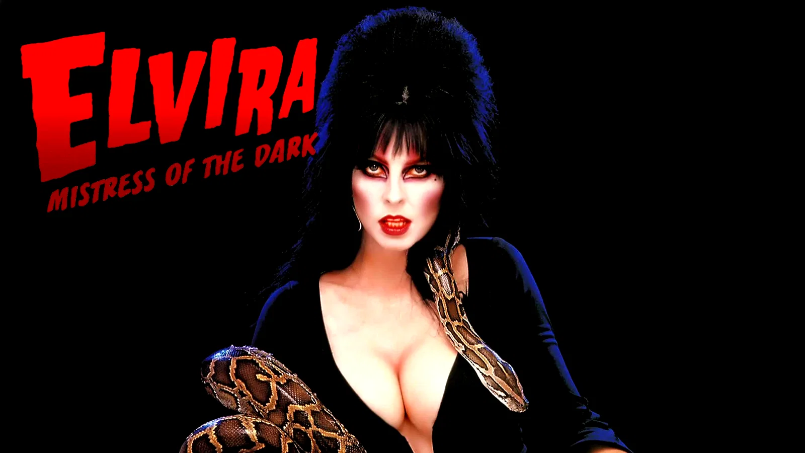 Photo du film : Elvira maitresse des tenebres