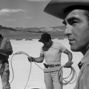 Photo du film : The misfits