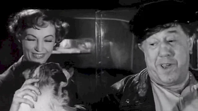 Photo du film : Monsieur taxi