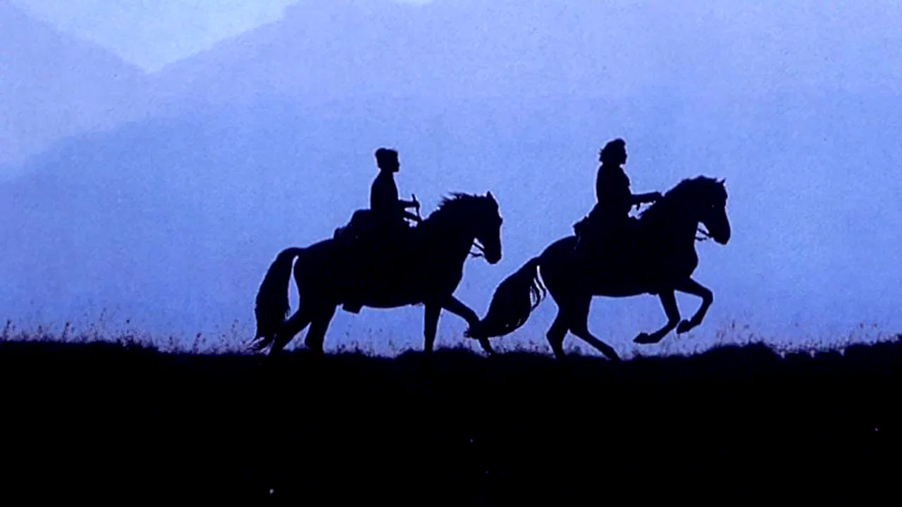 Photo 2 du film : Le Hussard sur le toit