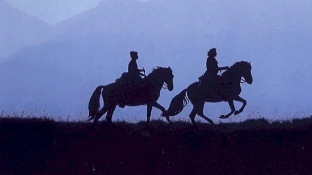 Photo du film : Le Hussard sur le toit