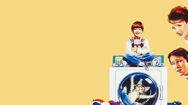 Affiche du film : Junior le terrible