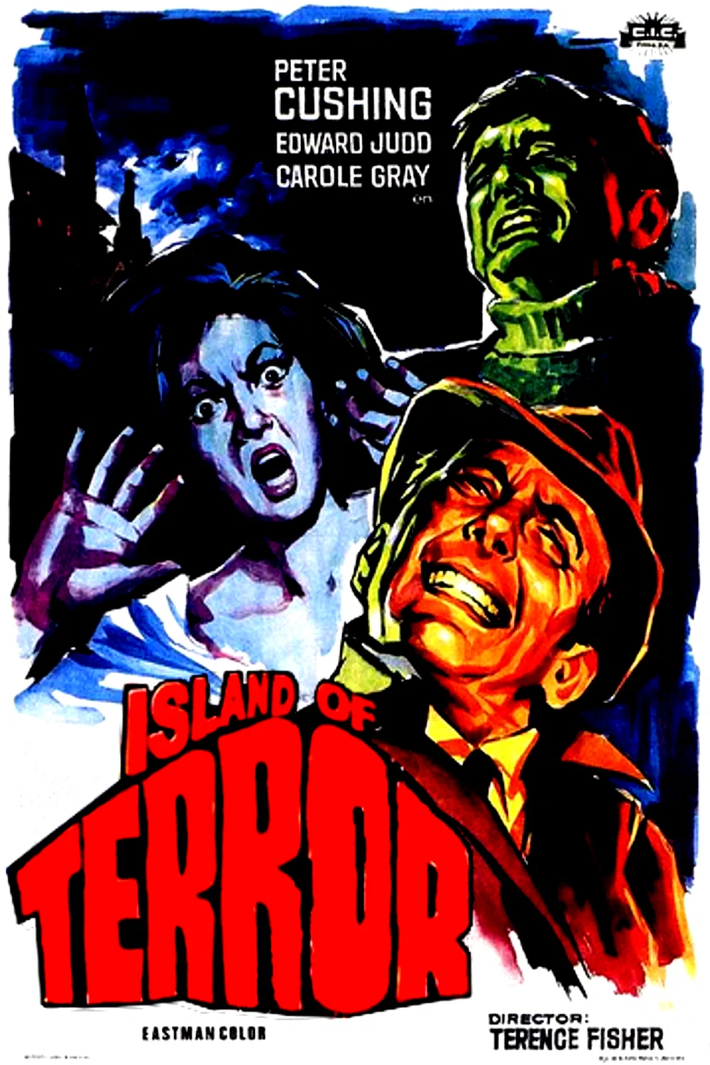 Affiche du film : L'ile
