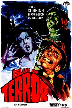 Affiche du film : L'ile