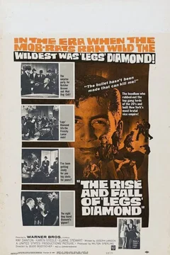 Affiche du film La chute d'un caid