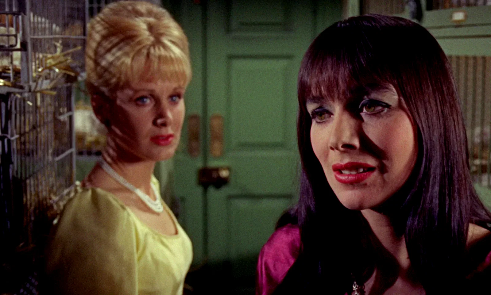 Photo du film : La femme reptile