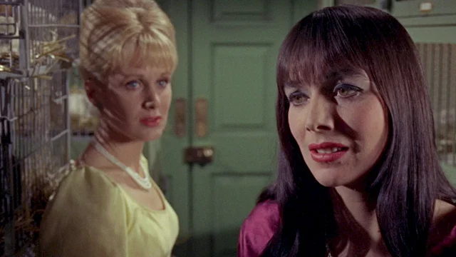 Photo 5 du film : La femme reptile