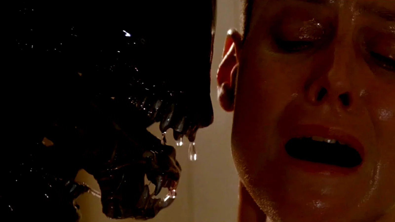 Photo 5 du film : Alien 3