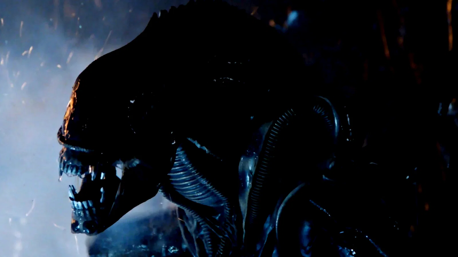 Photo 7 du film : Alien 3