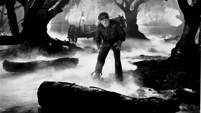 Photo 2 du film : Le loup garou
