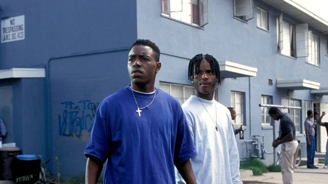 Affiche du film : Menace II society
