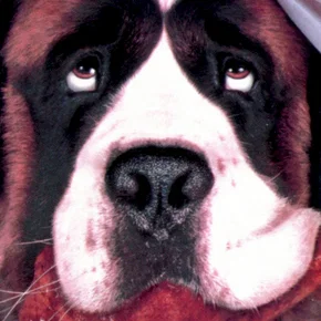 Photo du film : Beethoven