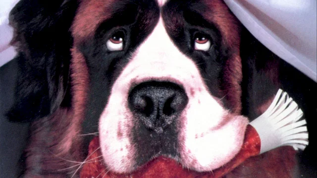 Photo du film : Beethoven